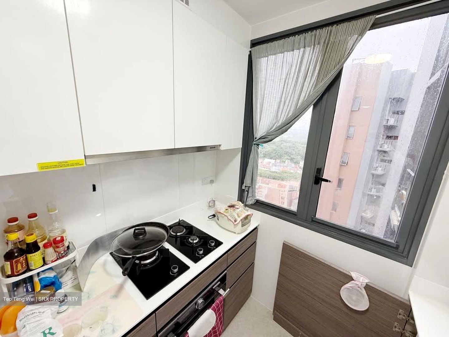 Parc Botannia (D28), Condominium #564190711